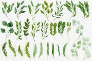 28 Watercolor Branches and Leaves