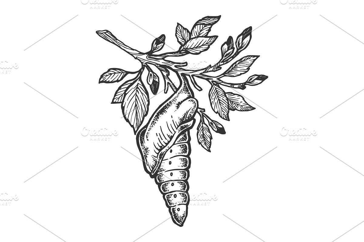 Butterfly cocoon on tree sketch in Objects - product preview 8