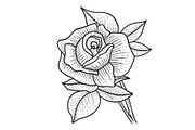 Rose flower sketch engraving