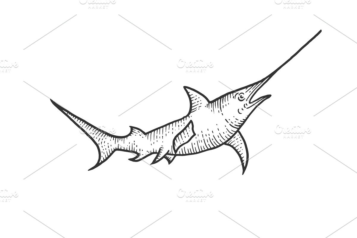 Swordfish sketch engraving in Illustrations - product preview 8