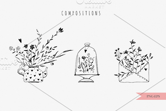Wildflowers and herbs in Illustrations - product preview 1