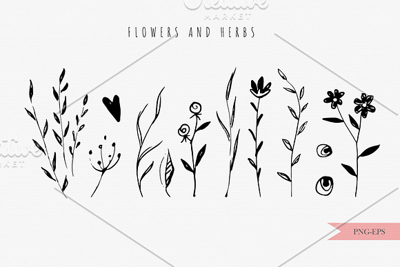 Wildflowers and herbs in Illustrations - product preview 4