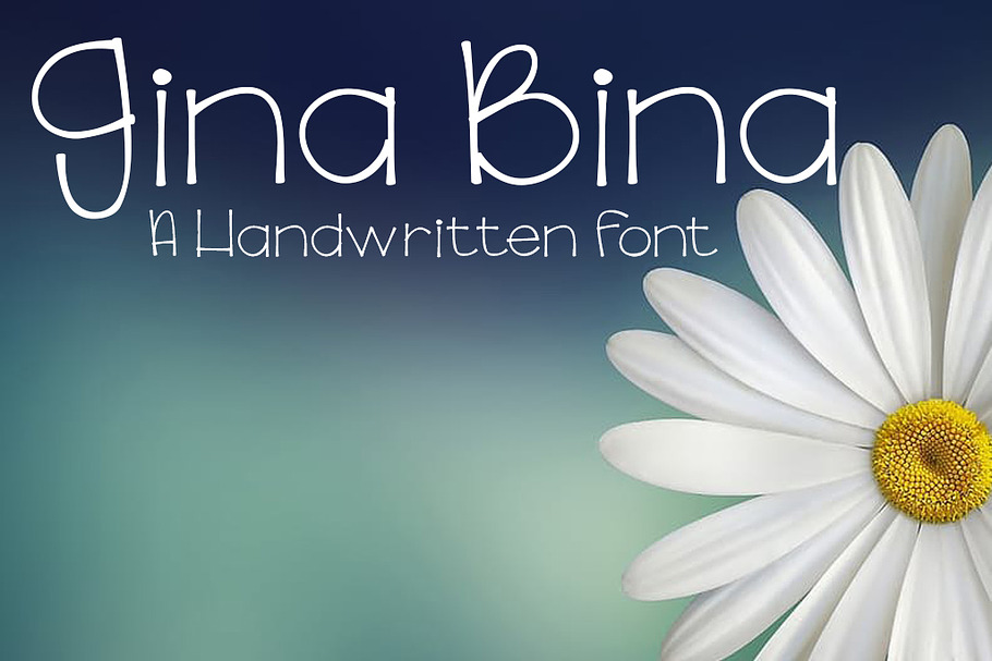 Gina Bina Font in Sans-Serif Fonts - product preview 8