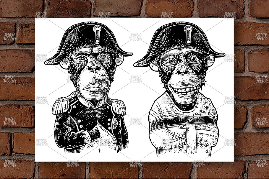 Monkeys dressed in straitjacket and in Illustrations - product preview 8