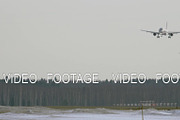 An airplane landing above the forest
