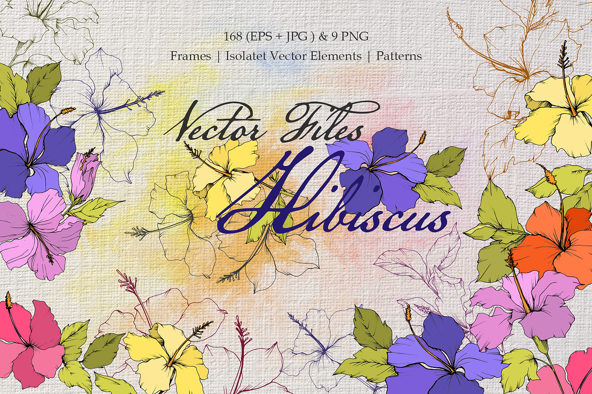 Hibiscus Vector Files in Illustrations - product preview 8