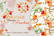 Orange Fuschsia  Watercolor png