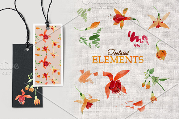 Orange Fuschsia  Watercolor png in Illustrations - product preview 4