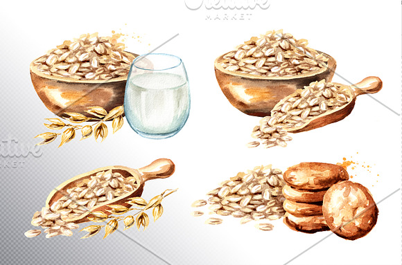 Oatmeal. Watercolor collection in Illustrations - product preview 1