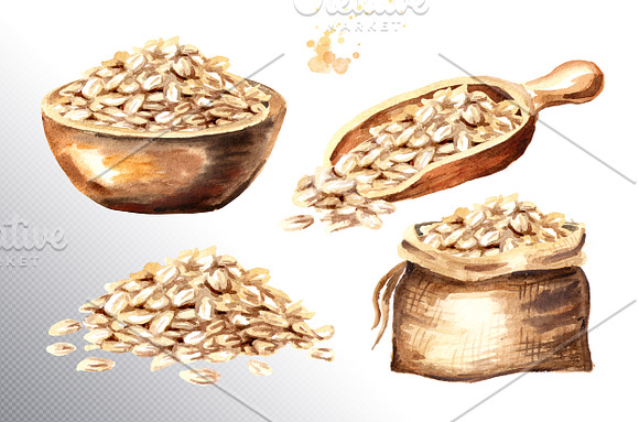 Oatmeal. Watercolor collection in Illustrations - product preview 5