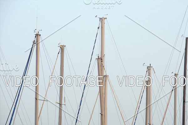 Yacht masts against clear blue sky