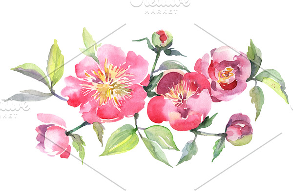 Bouquet with tea roses Watercolor