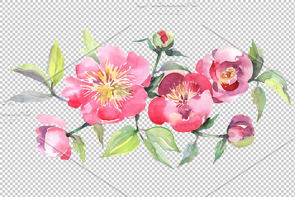 Bouquet with tea roses Watercolor in Illustrations - product preview 1