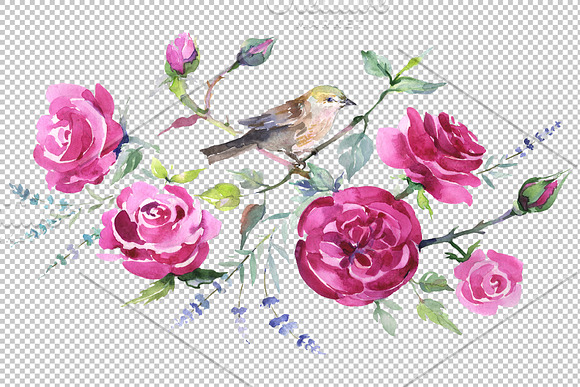Bouquet with roses and a bird in Illustrations - product preview 1