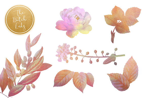 Floral & Botanical Clipart - Olivia in Illustrations - product preview 4
