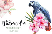 Watercolor set of parrots and flower