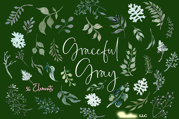 Greenery in Silver Sage and Gray in Illustrations - product preview 2