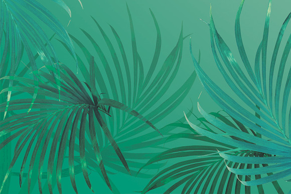 Tropical leaves and water lily in Textures - product preview 1