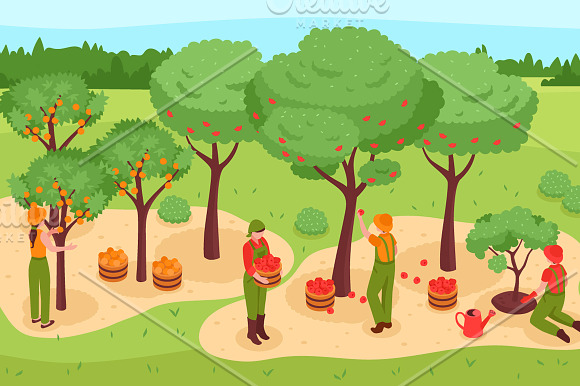 Gardening Isometric Set in Illustrations - product preview 2