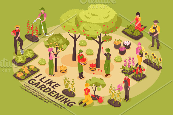 Gardening Isometric Set in Illustrations - product preview 4
