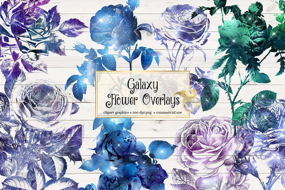 Galaxy Flower Overlays in Illustrations - product preview 1