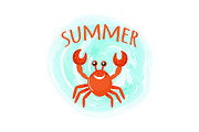 Summer Crab Oceanic Underwater