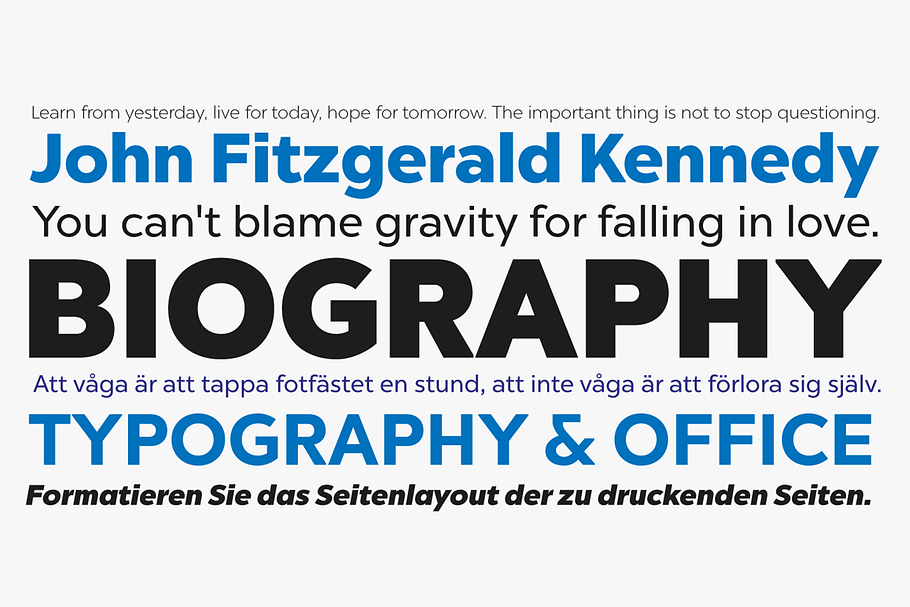 Chronica Pro Family (18 fonts) in Sans-Serif Fonts - product preview 8