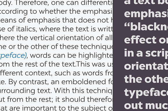Chronica Pro Family (18 fonts) in Sans-Serif Fonts - product preview 1