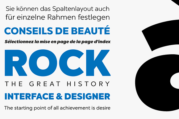 Chronica Pro Family (18 fonts) in Sans-Serif Fonts - product preview 3