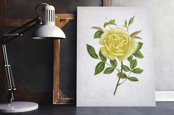 Rose Yellow Flowers in Illustrations - product preview 6