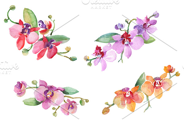 Branch with orchids Watercolor png
