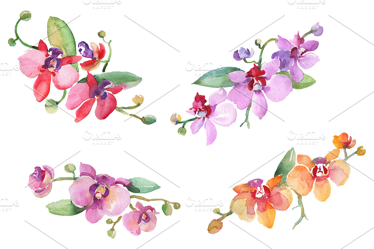 Branch with orchids Watercolor png in Illustrations - product preview 8