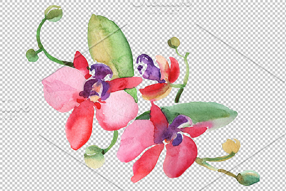 Branch with orchids Watercolor png in Illustrations - product preview 1