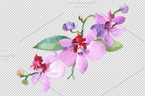 Branch with orchids Watercolor png in Illustrations - product preview 2
