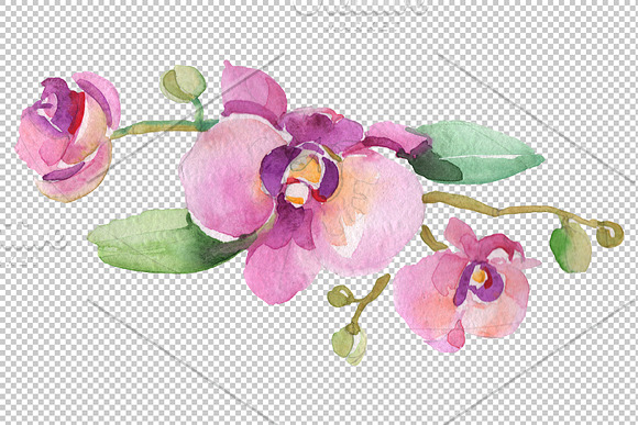 Branch with orchids Watercolor png in Illustrations - product preview 3