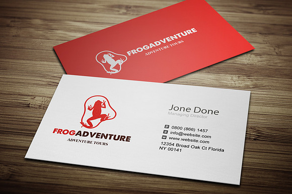 Frog Adventures in Logo Templates - product preview 2