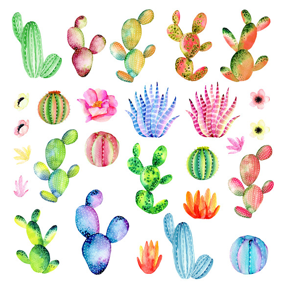 Watercolor cactus in Objects - product preview 1