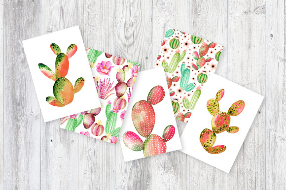Watercolor cactus in Objects - product preview 4