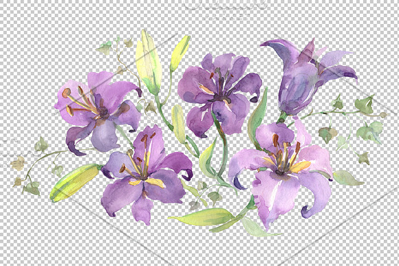 Bouquet with purple lilies in Illustrations - product preview 1