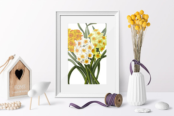 Daffodils Yellow Daffodil Bouquet in Illustrations - product preview 2