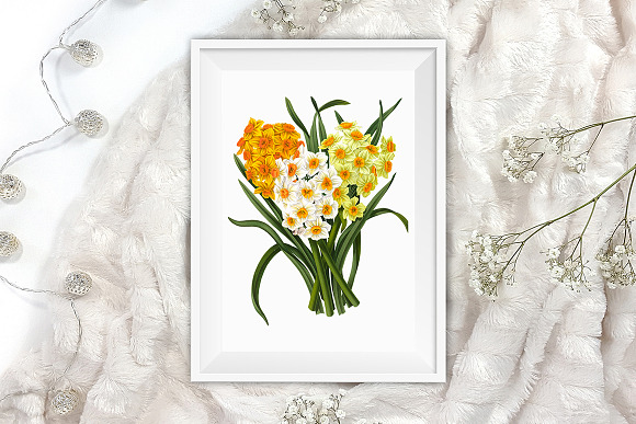 Daffodils Yellow Daffodil Bouquet in Illustrations - product preview 5