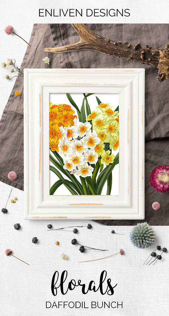 Daffodils Yellow Daffodil Bouquet in Illustrations - product preview 6