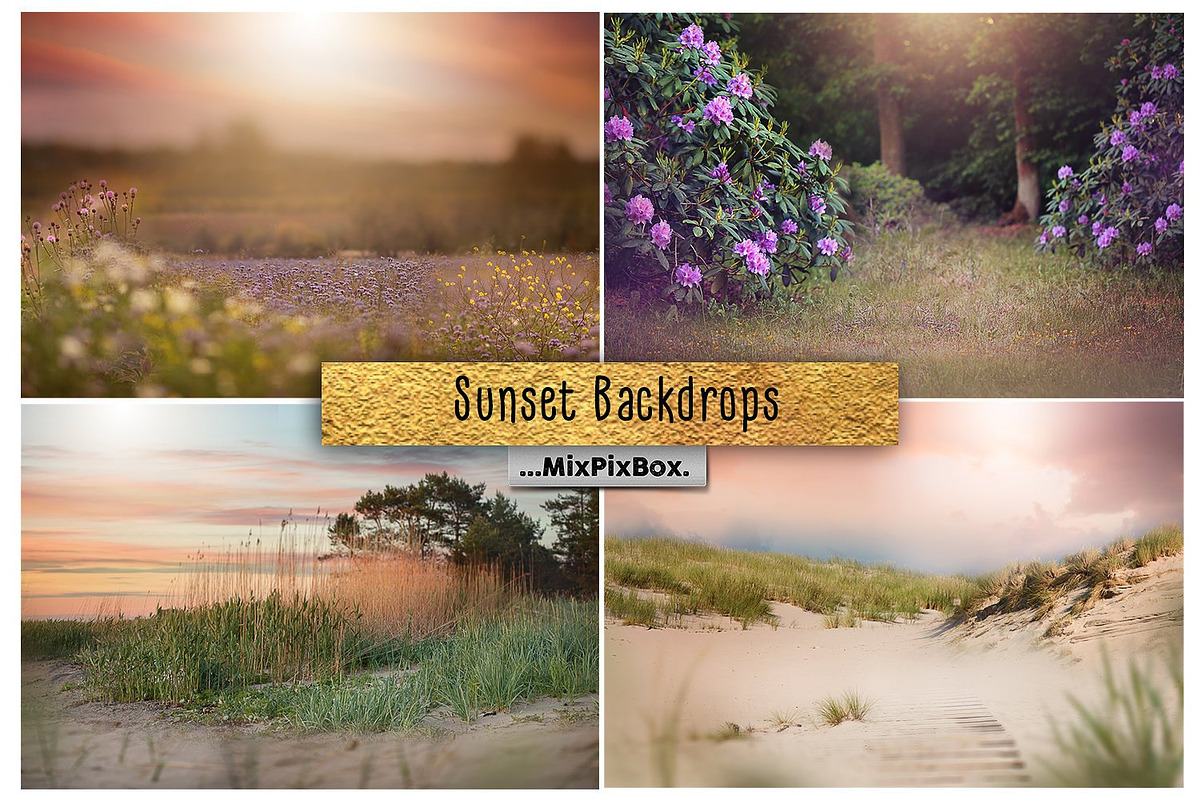 Sunset Backdrops in Add-Ons - product preview 8
