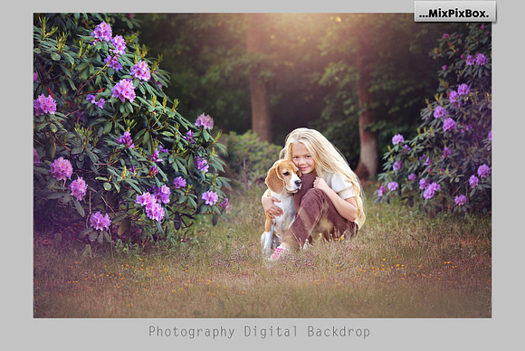 Sunset Backdrops in Add-Ons - product preview 4