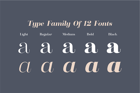 Clarize Family in Serif Fonts - product preview 1