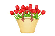 Wicker basket with tulip flower.