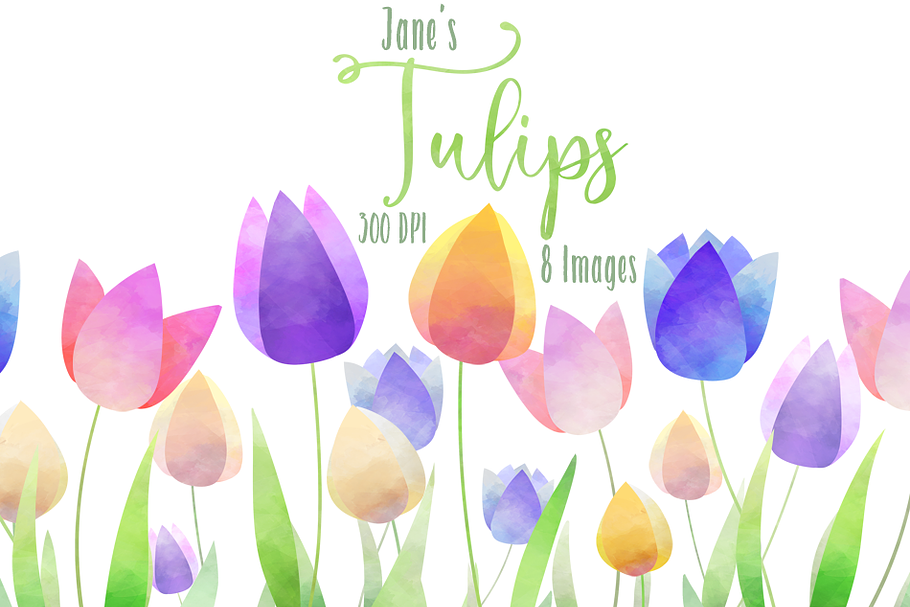 Watercolor Tulips Clipart