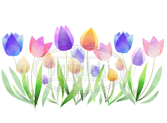 Watercolor Tulips Clipart in Illustrations - product preview 1
