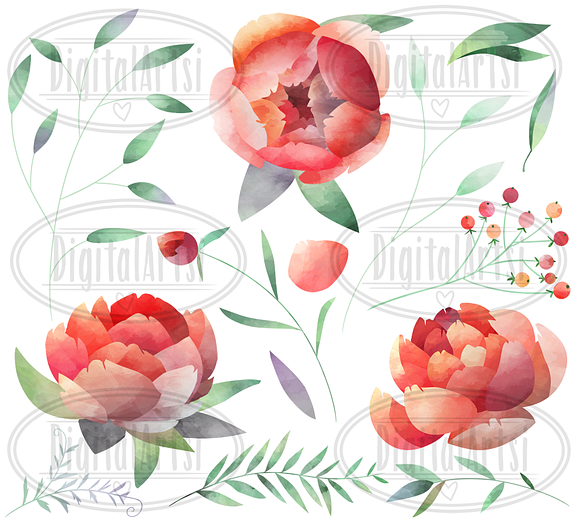 Watercolor Peonies Clipart in Illustrations - product preview 1