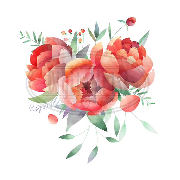Watercolor Peonies Clipart in Illustrations - product preview 4